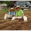 태기목장 이미지