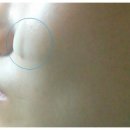 엠에스메드 이미지