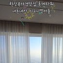 댕댕파티 | 잠실 호캉스 내돈내산 시그니엘 서울 생일파티 재방문후기