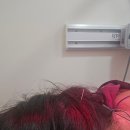 삼성동-5 | 삼성동 한의원 청담동 도수치료 5회차 리얼 후기