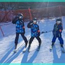 휘닉스 파크 이미지