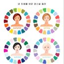머리하자 이미지