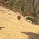 짱오농장 이미지