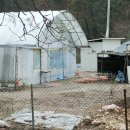 대전금탑