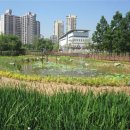 조성우렁집 이미지