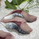 동해수산회센타 이미지