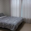 호수와 바다 이미지