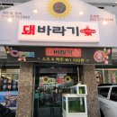 돼바라기 이미지