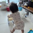 아기장난감 주방놀이 브레드이발소 초코의 싱싱 쇼핑카트 후기