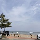 감나무민박 이미지