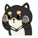 액티브 태권도장 이미지