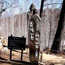 인제17-3 이미지