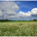 풍경목장 이미지