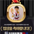 프리미엄 태권마루 태권도장 이미지