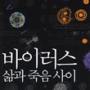 삶과 삶 사이 네이버블로그