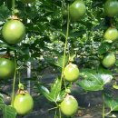 목림농장 이미지