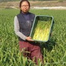 최은희 농장 이미지