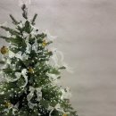 스테이서화 이미지