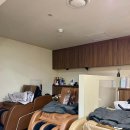 엘리헤어 이미지