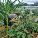 전남대학교 농업실습교육원 이미지