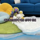 애견가족 이미지