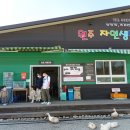 용소막농장 이미지