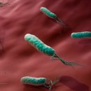 해오름약국 이미지