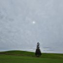 보드타고 동화속으로 | 일본 홋카이도 9월 비수기 비에이 후라노 렌트카 여행 후기 - 날씨 운이 없는 현실 사진