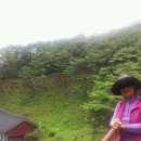 가조고견사 이미지