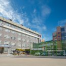 서울신자초등학교 이미지