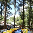 청태산그린 이미지