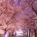 꽃길만걸어요 - 김포시 김포대로 841 | 꽃길만걸어요