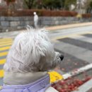 연세미앤필의원 이미지