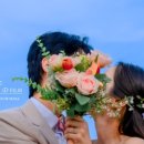 제주 하연 이미지