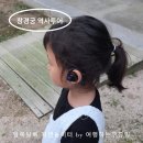 영화로 만나는 역사 이야기 | 창경궁 역사 도슨트 체험, 조명이 비치는 창경궁의 밤 가족들과 산책하며 이야기 듣기!