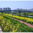 지하철 양산역 이미지