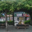 비비큐평택합정점 이미지