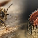 유명동물약품 이미지