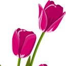 세인트 골프존 이미지