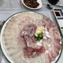 대구 동구 횟집 갈매기회수산 주당들의 단골집