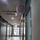 브로우날다 이미지