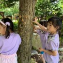 글로벌어린이집 | 우리들자연학교 7월 22일 글로벌 어린이집 수업 후기