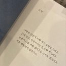 맥센세마켓 | 일주일 후면 히게단 콘서트 현장에 있다니,, 혼또데스까