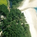 나리와꽃창포 이미지