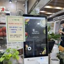 라티에 | [서울/종로] 경복궁역 샐러드 라티에 경복궁 본점 방문 후기