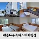 배롱나무 독채스테이 네이버블로그