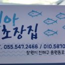 진아초장집