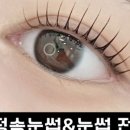 속눈썹할걸 네이버블로그