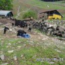 먹방농장 이미지