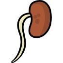 훈이네바지락칼국수